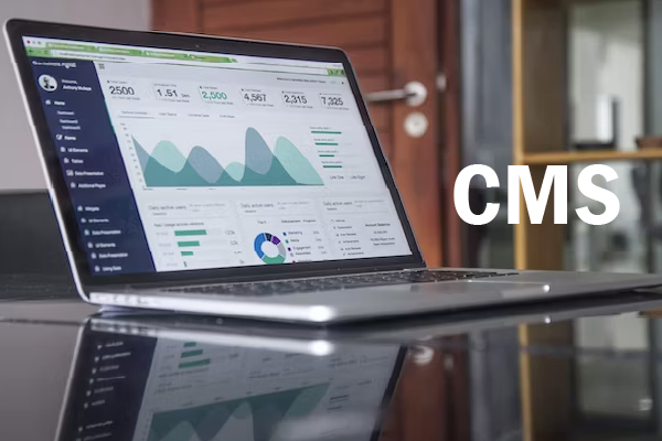 Best CMS Devlopment