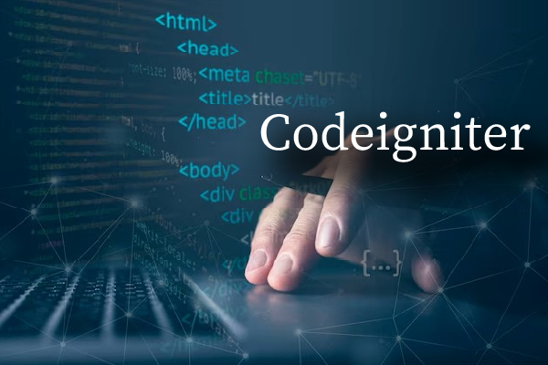 codeigniter services
